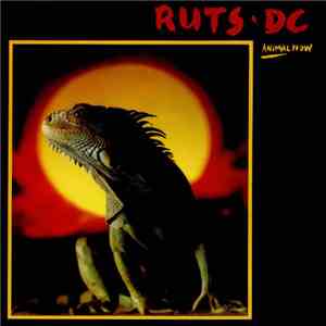 Ruts DC - Animal Now download flac