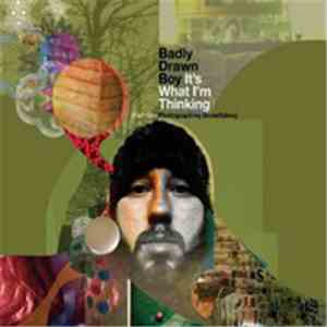 Badly Drawn Boy - It's What I'm Thinking (Part One - Photographing Snowflakes) download flac