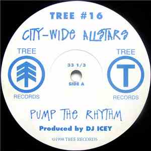 City-Wide Allstars - Pump The Rhythm download flac