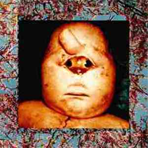 Fetus Productions - Fetus ReProductions download flac