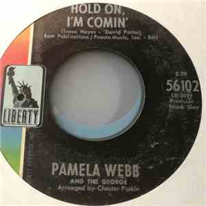 Pamela Webb And The George - Hold On, I’m Comin’ / Peter O’Toole download flac