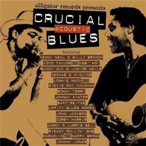 Various - Crucial Acoustic Blues download flac
