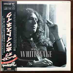 Whitesnake - The Best Of Whitesnake download flac
