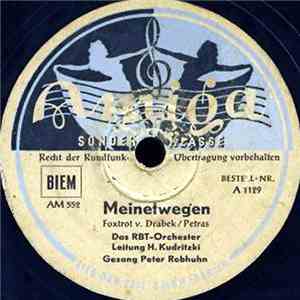 Das RBT-Orchester, Horst Kudritzki - Meinetwegen / Moonlight Serenade download flac