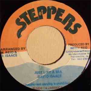 David Isaacs - Just Like A Sea download flac