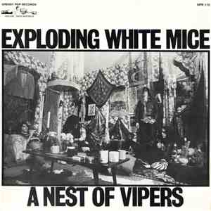 Exploding White Mice - A Nest Of Vipers download flac