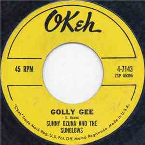 Sunny Ozuna And The Sunglows - Golly Gee download flac