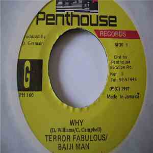 Terror Fabulous / Bajie Man - Why download flac