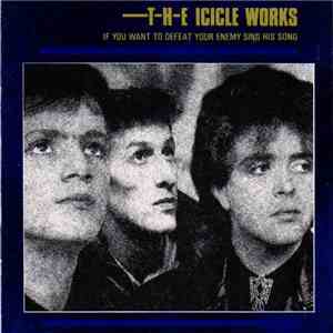 The Icicle Works - If You Want To Defeat Your Enemy Sing His Song download flac