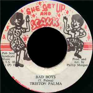 Triston Palma - Bad Boys download flac