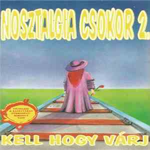 Unknown Artist - Nosztalgia Csokor 2. - Kell, Hogy Várj download flac