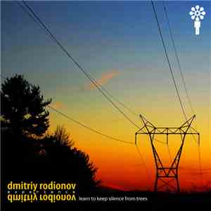 Dmitriy Rodionov Experience - Learn To Keep Silence From Trees download flac