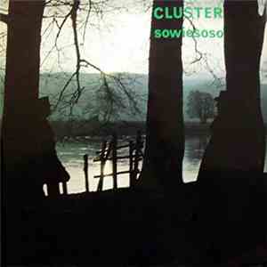 Cluster - Sowiesoso download flac