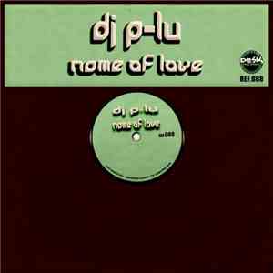 DJ P-Lu - Name Of Love download flac