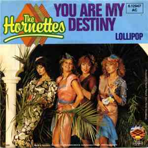 The Hornettes - You Are My Destiny download flac